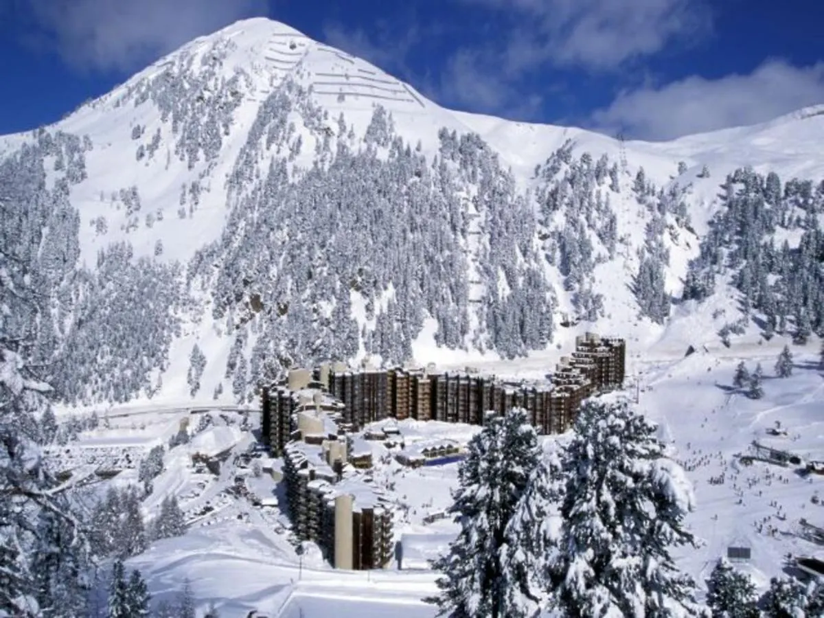 Studio Divisible Renove, Pied Des Pistes, Balcon, 4 Pers., La Plagne - Fr-1-181-1104 Apartment